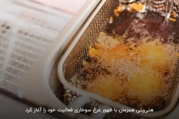 هنی پنی برندی محبوب در زمینه تولید سرخ کن صنعتی