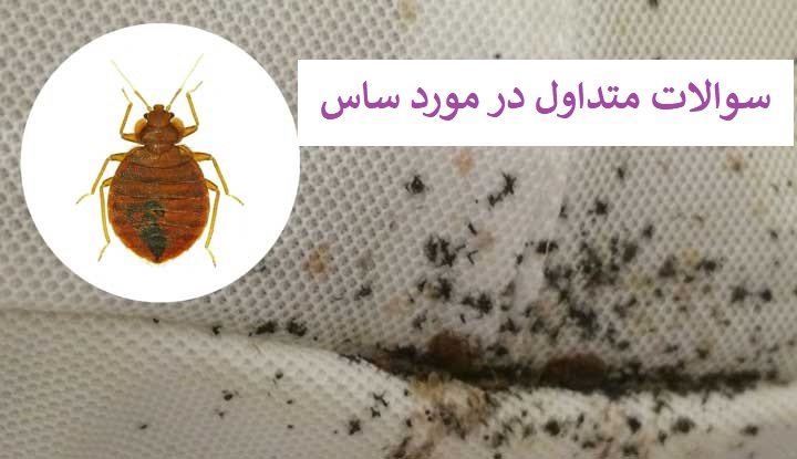 ساس کش در بایر سم