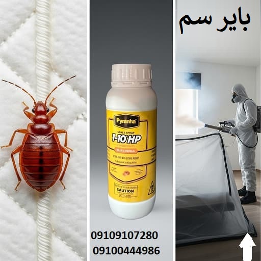 ساس کش
