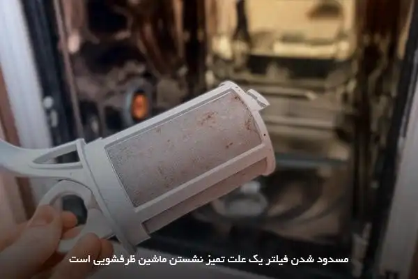 مسدود شدن فیلتر یک علت تمیز نشستن ماشین ظرفشویی