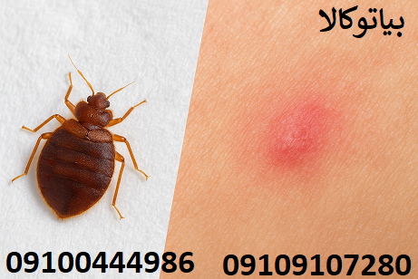 چرا خرید سم از بایر سم ؟