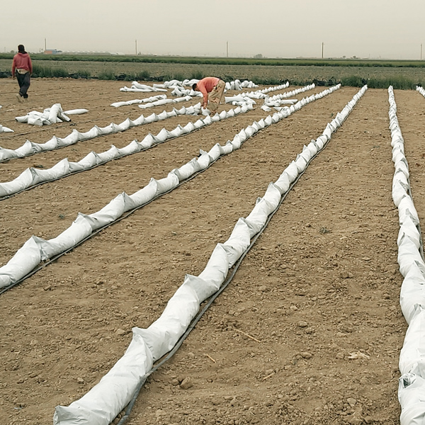 8 مزیت مهم گروبگ