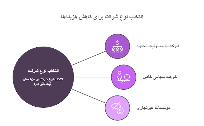انتخاب نوع شرکت و نقش آن در کاهش هزینه‌ها